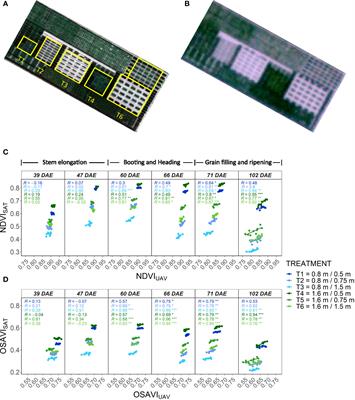 Satellite imagery for high-throughput phenotyping in breeding plots